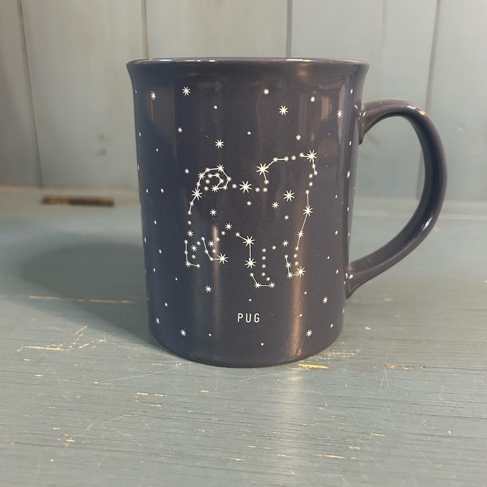 (New) Fringe Studio Celestial Pug Mug in Navy